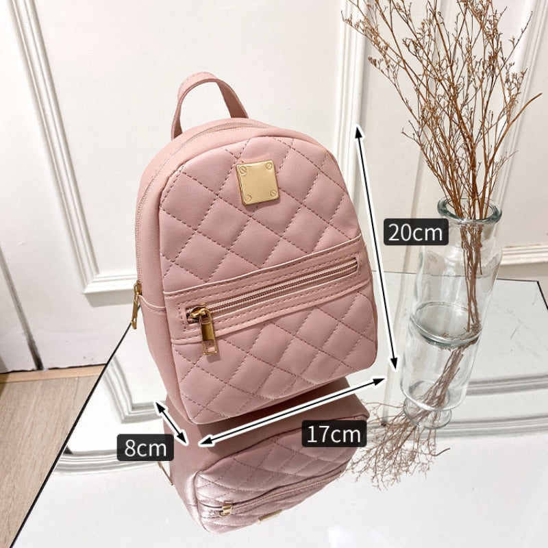 Chic Mini Leather Backpack